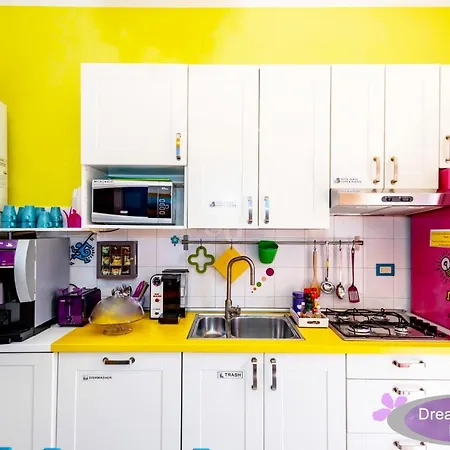 B&B 드림 스테이션 4*